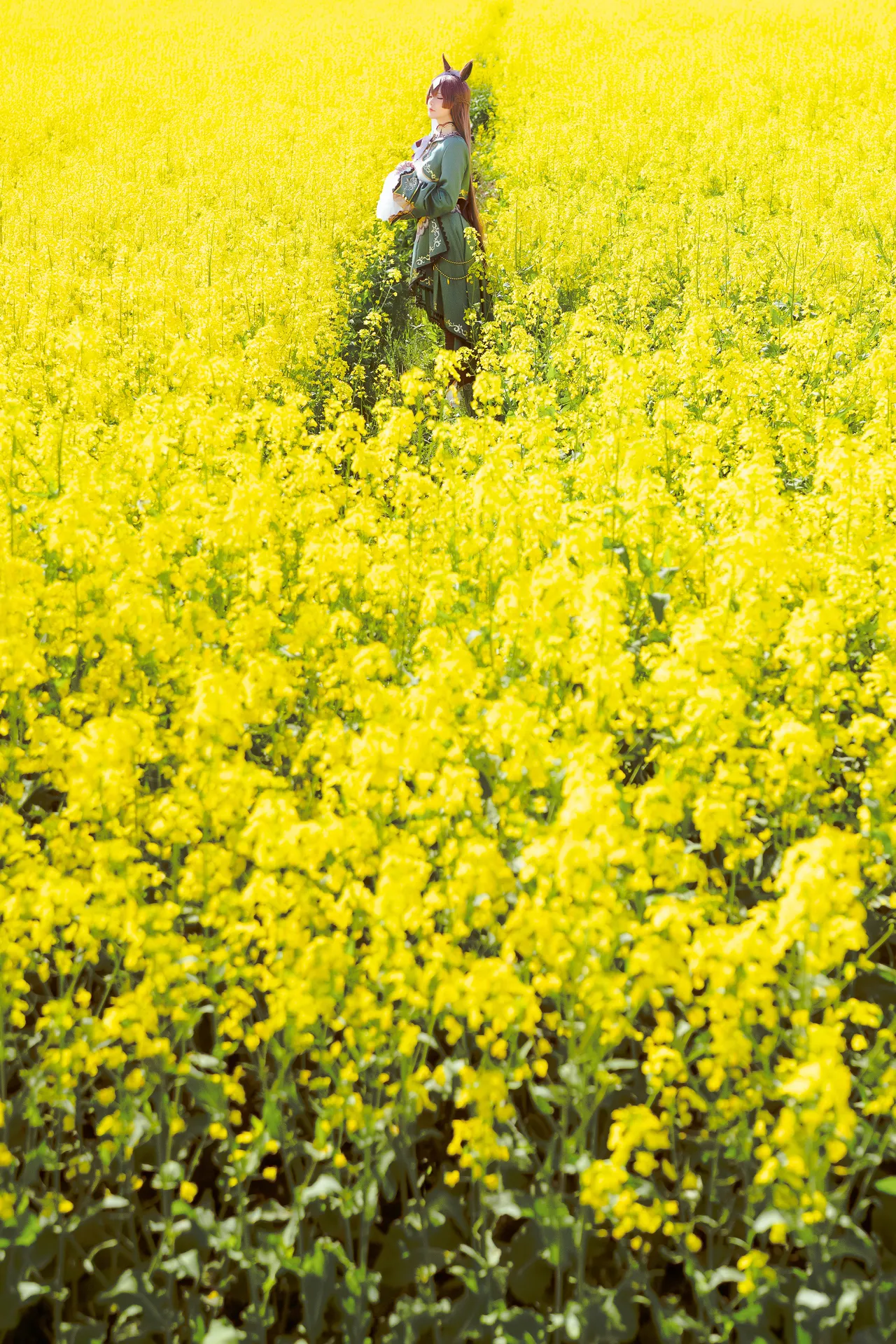 星之迟迟 - 赛马娘里见光钻梦想的回应-erohere3.webp